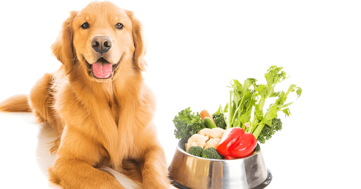 Naturals Dog Food: A Comprehensive Guide to Healthier, Happier Dogs