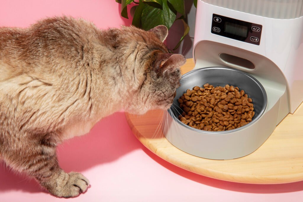 "Chewy Cat Food Wet: A Delicious Path to Feline Wellness"