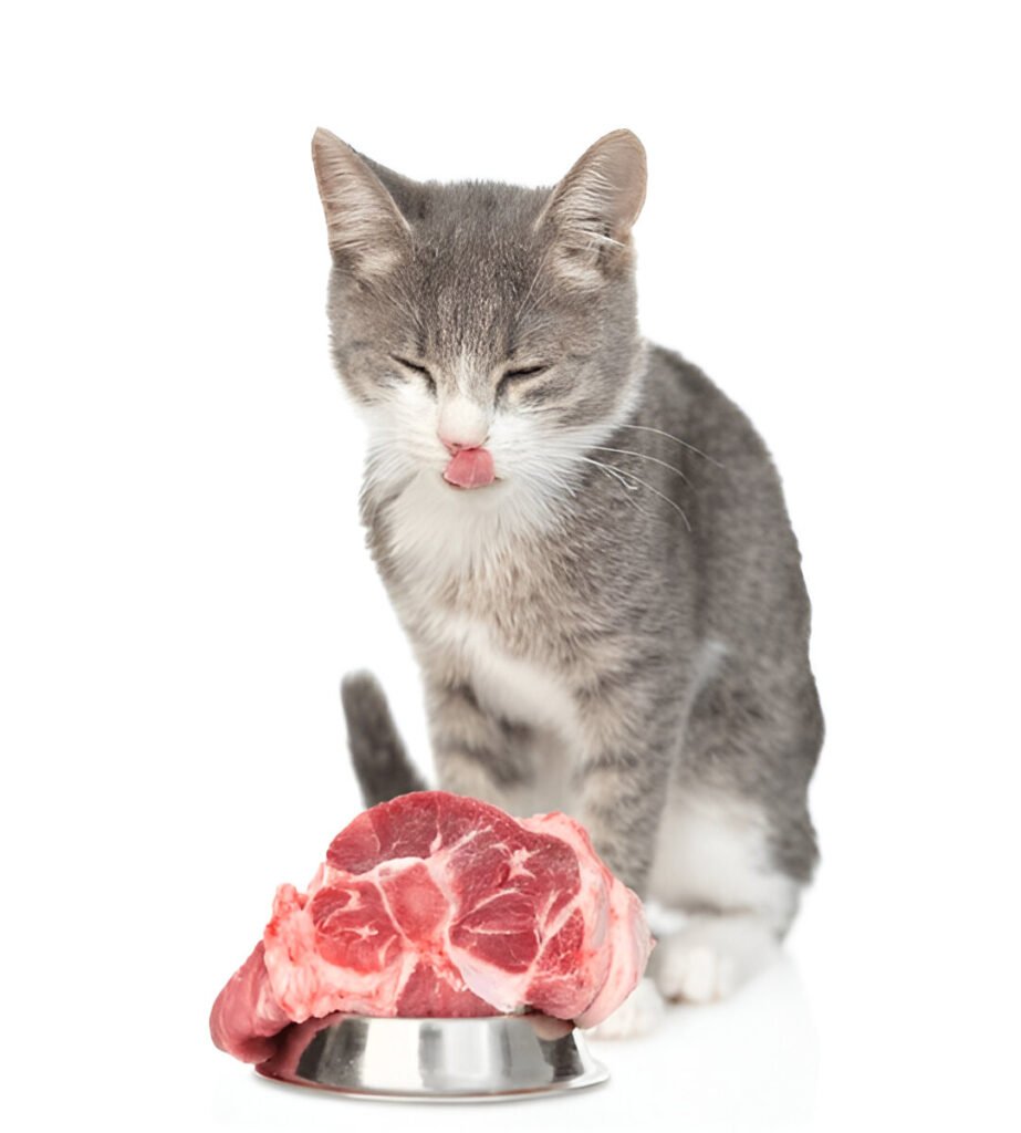 steptodown.com478587 Raw cat food